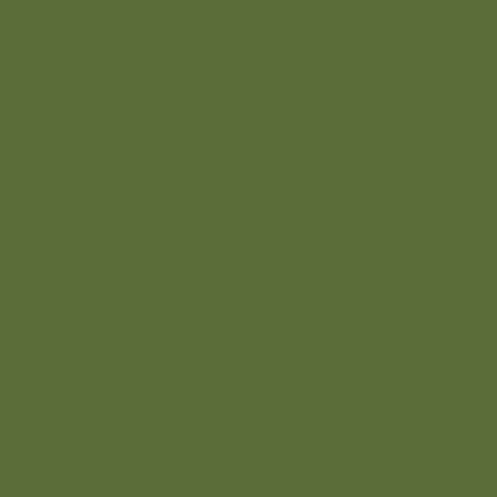 Daler Rowney, FW, Acrylic Ink, 1oz, Olive Green